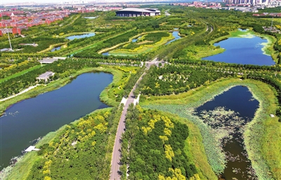 双碳目标下的城市绿洲中国网地产