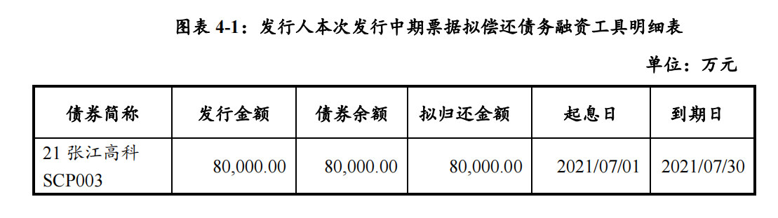 张江高科：完成发行10亿元中期票据 票面利率3.17%_中国网地产
