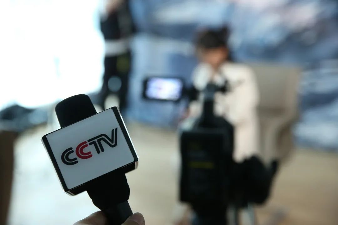 熱烈歡迎CCTV-9《中國品牌檔案》欄目組走進三湘印象•森林海尚城_中國網地産